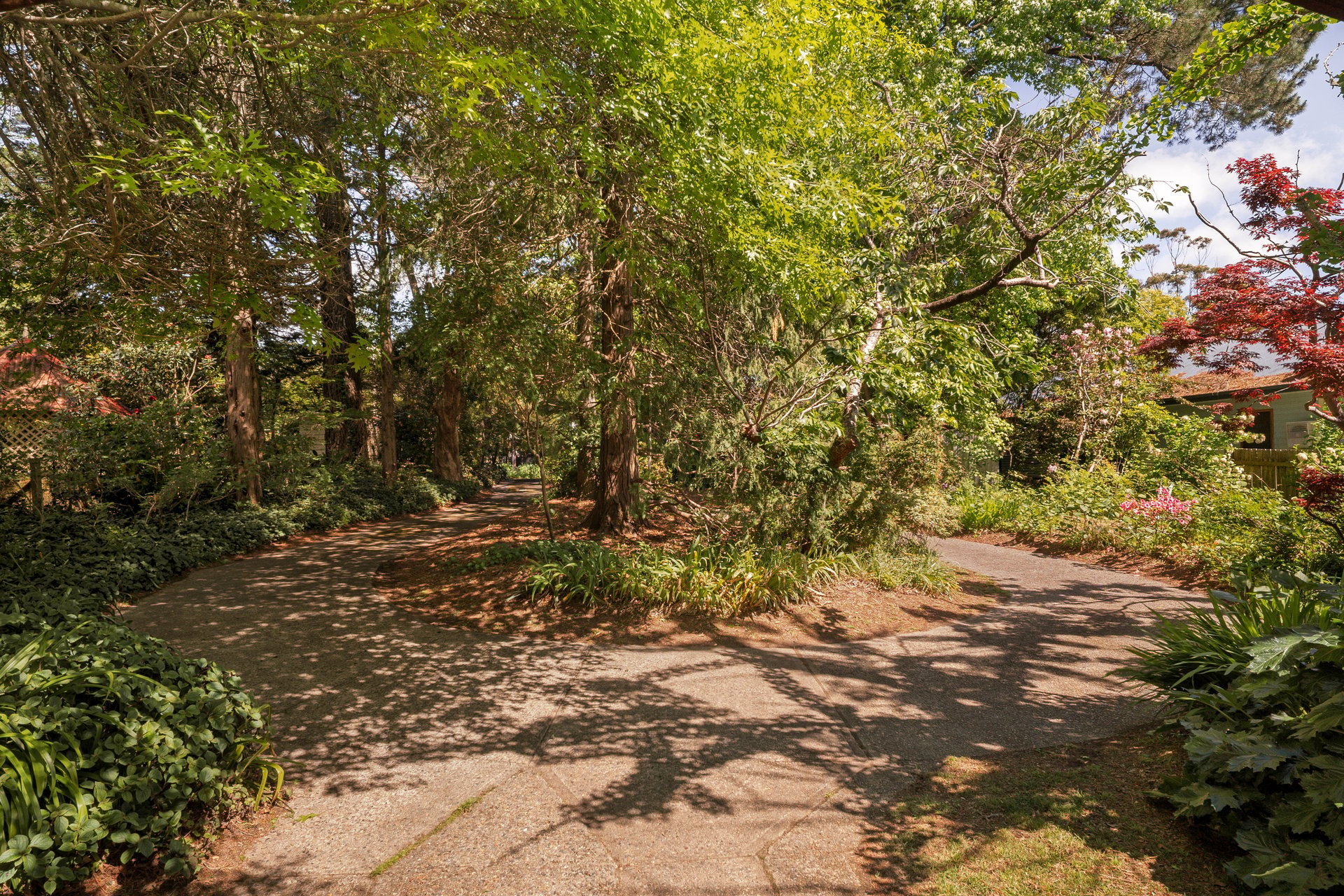 49 Wilson Street, Wentworth Falls, NSW 2782 AUS