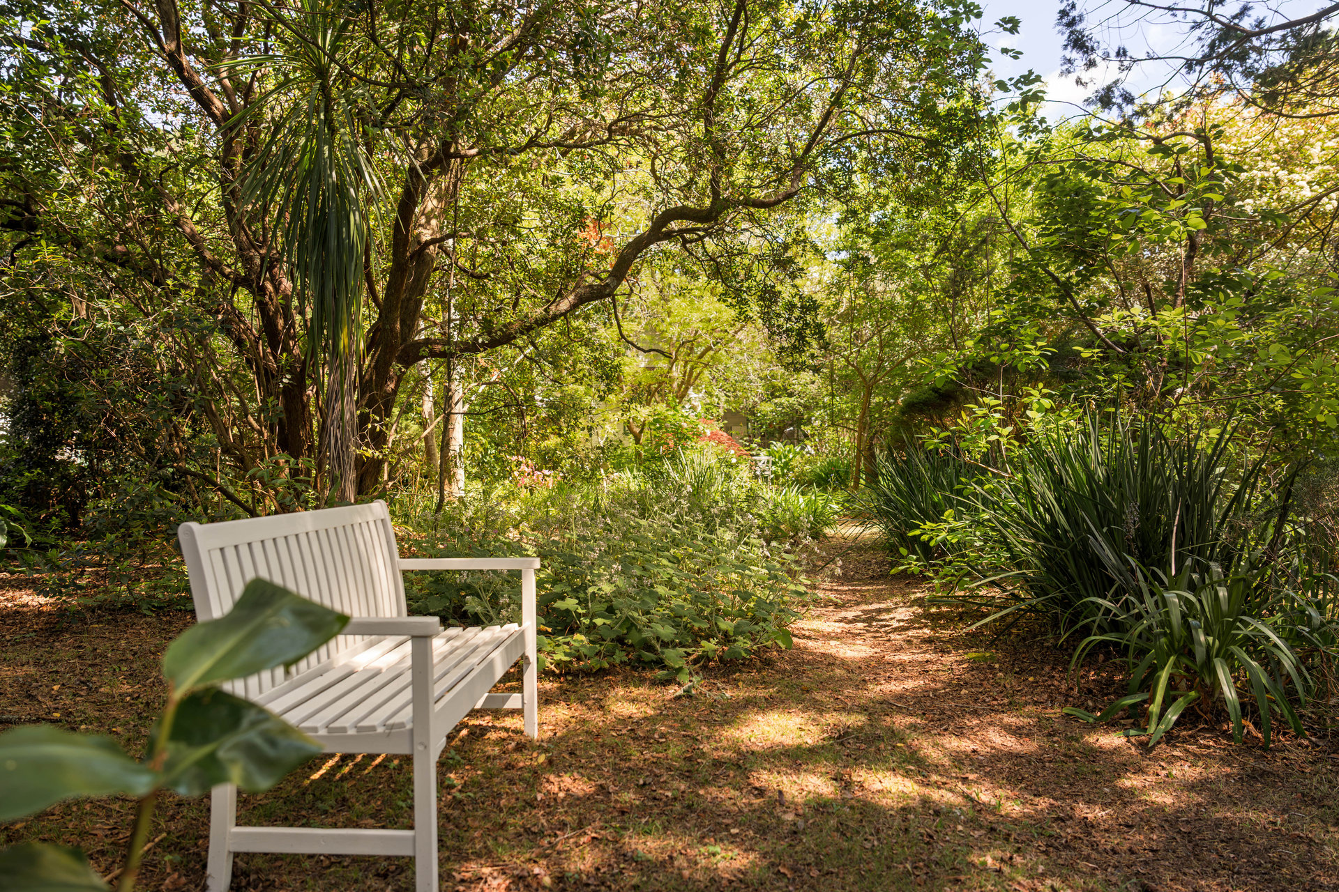 49 Wilson Street, Wentworth Falls, NSW 2782 AUS