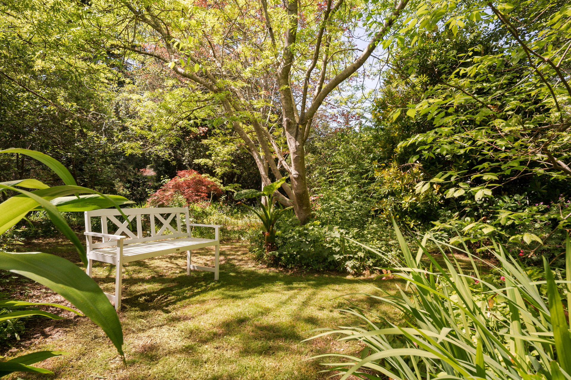 49 Wilson Street, Wentworth Falls, NSW 2782 AUS