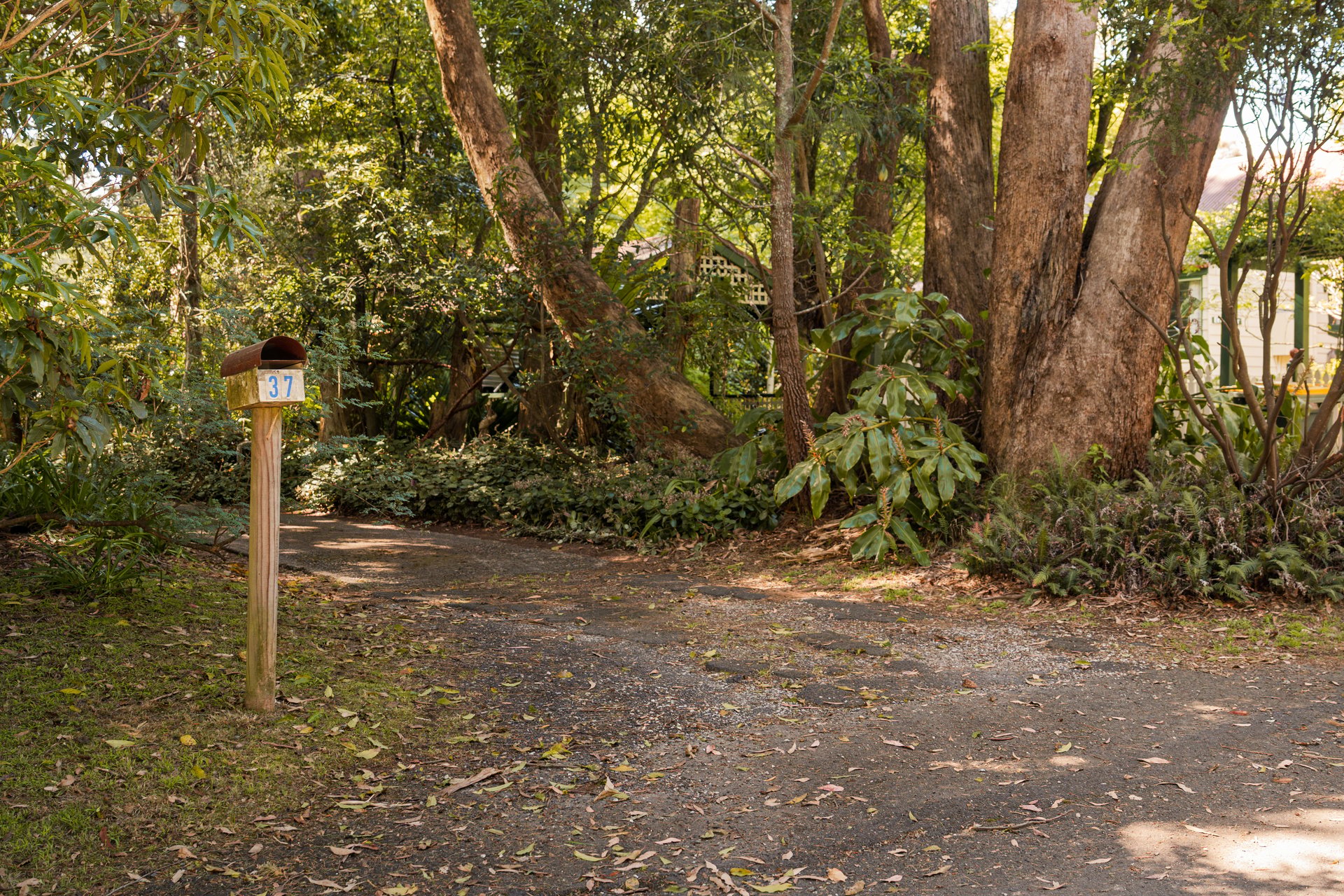49 Wilson Street, Wentworth Falls, NSW 2782 AUS