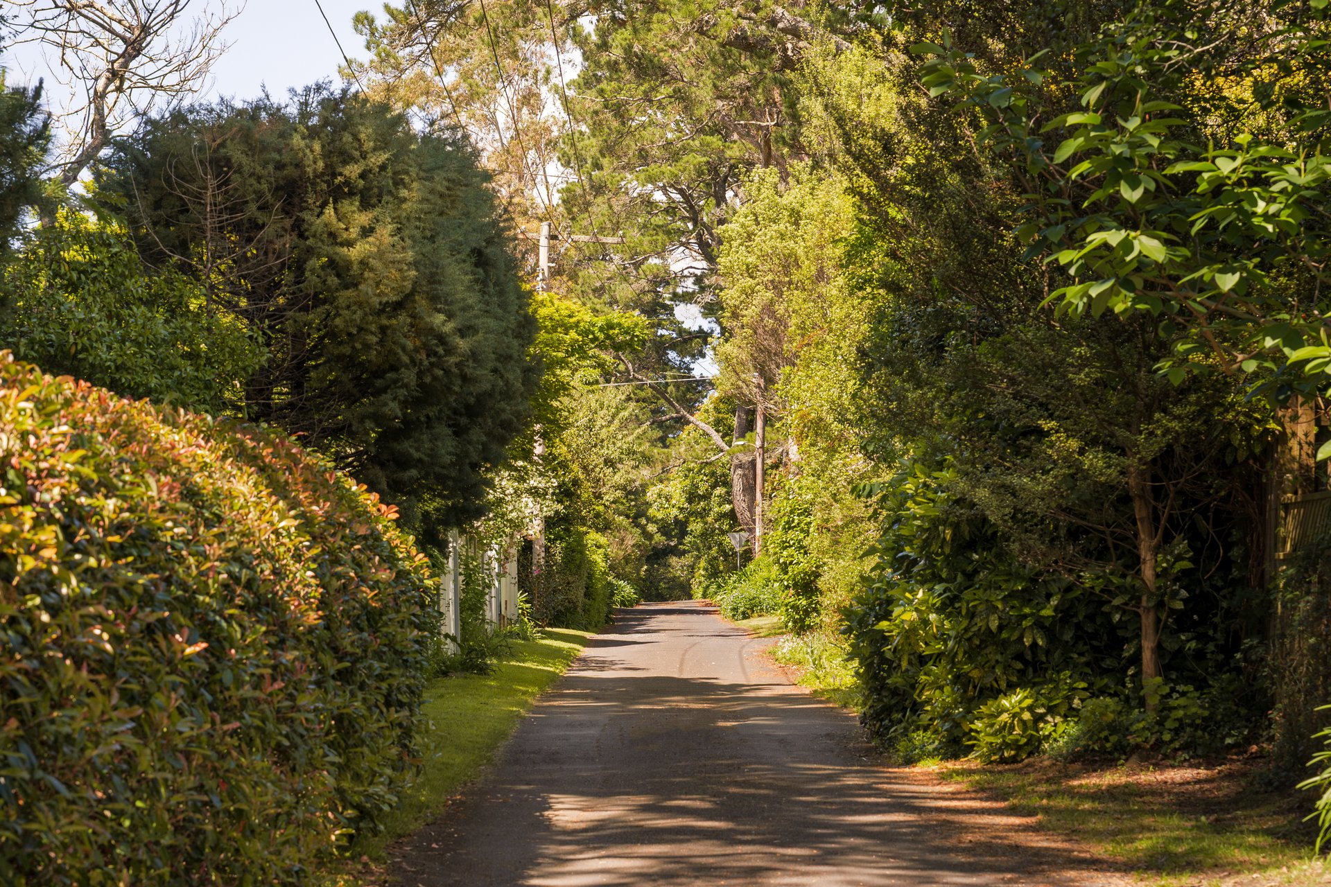 49 Wilson Street, Wentworth Falls, NSW 2782 AUS