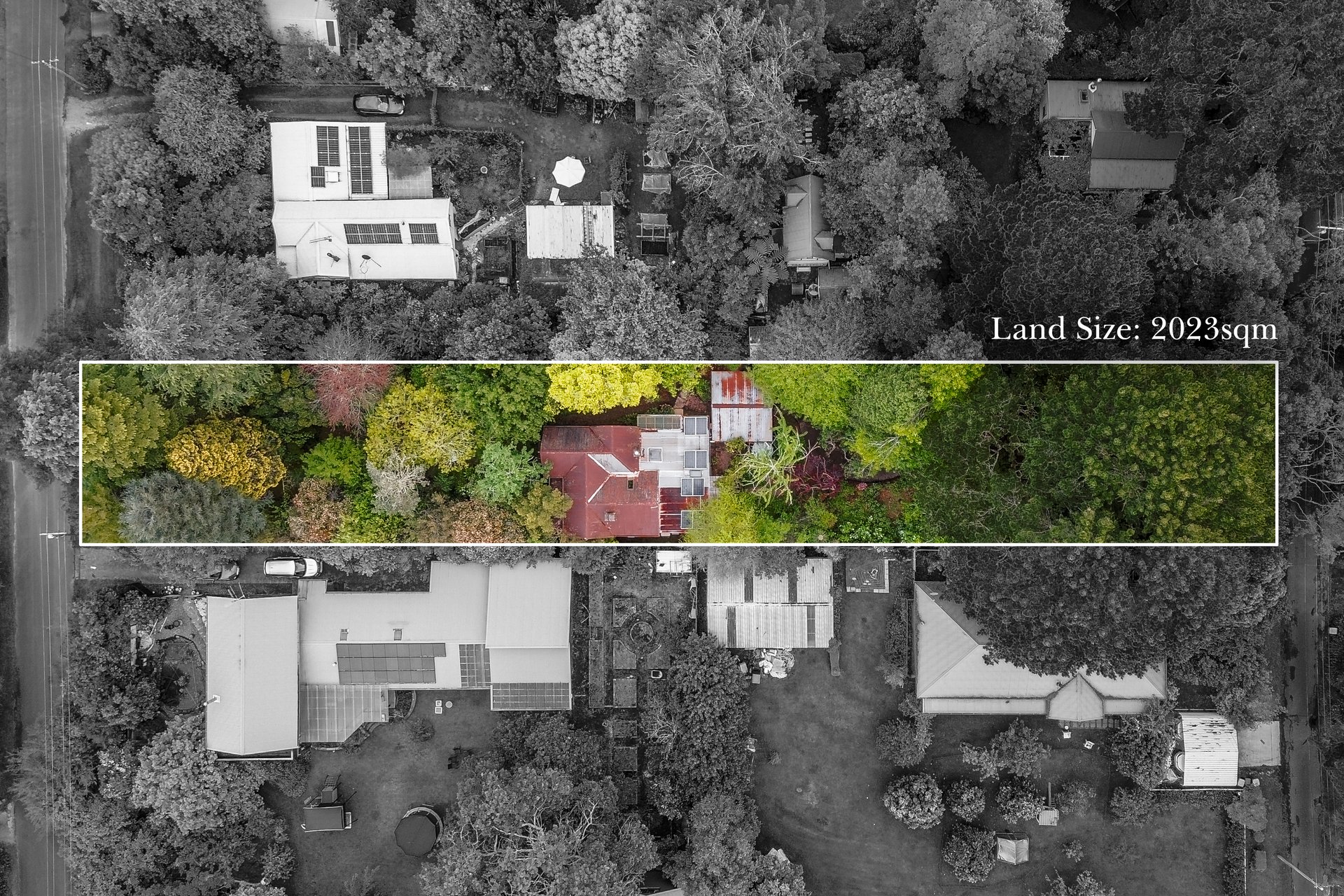 49 Wilson Street, Wentworth Falls, NSW 2782 AUS